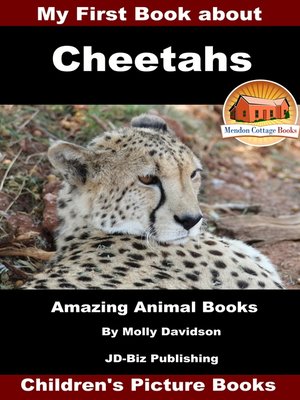 cover image of My First Book about Cheetahs